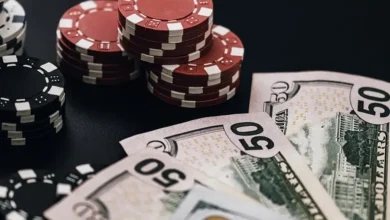 PlayUP Program – proven plan for online casino growth